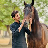ali.asghar.sidhu