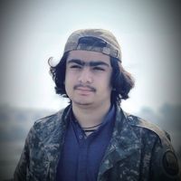 syedahsanshah313