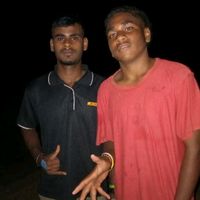 ali33469