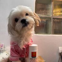 mamijhenglovekeila