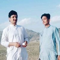 najeebdarwaish