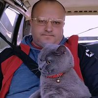 оригінальний звук