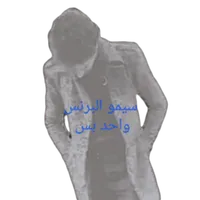 original sound - seymour053