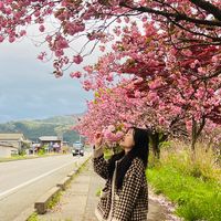 nhạc nền - Rin đây 🍎🍁