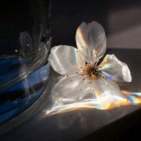 celest__void08