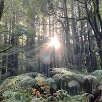 original sound - ineedairineedspace