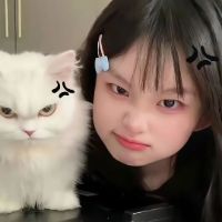 original sound - fkxiaoyangge666