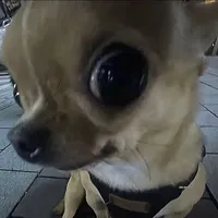 original sound - sleeping_man0718