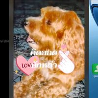 user1238145113761