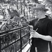 оригинальный звук