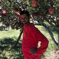 original sound - MP रक पोखरा