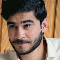 arman_hamid_max0