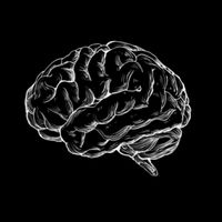.mentalidad5