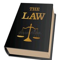 future._..lawyer