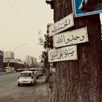 sadeell_ll