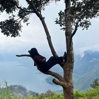 _ciacia24_