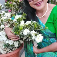 original sound - belashrestha