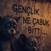 cepteknikeri