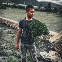 nhạc nền - én nhỏ