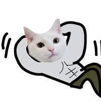 tifuyu.taka