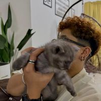 do ya like x resonance