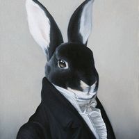 rabbits_and_bunkerfeeder