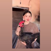 phaengsypmv