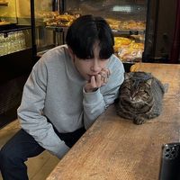 yhas.1timkai