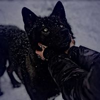 оригинальный звук