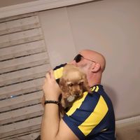 erkan___braveheart