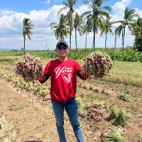 original sound - ifan7215