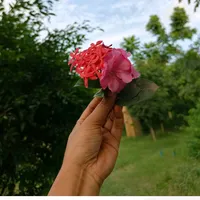 original sound - bitheahmedbithe