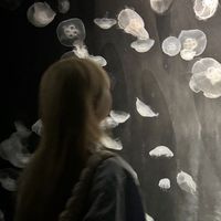 オリジナル楽曲 - 🕊🙄