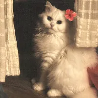 original sound - mrskhan320