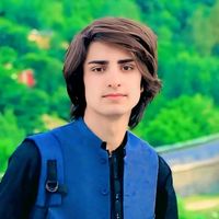 mehmoodghaznavi111