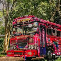 dham_rejini_official1