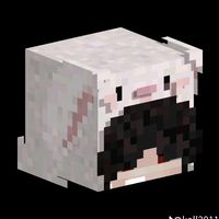 minecraft121114