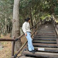 binodjungkc