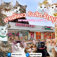 jaifucatcafe_owner