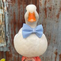 callduck.chanthaburi