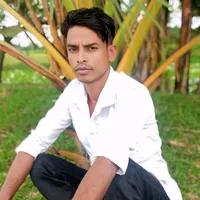 original sound - mohammad.fazlumia