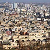 tek.hayalim934