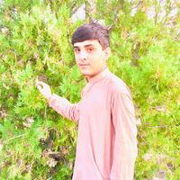 bilalkhan57710
