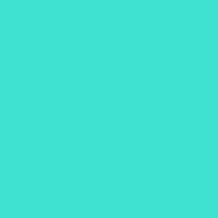 leenvett