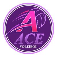 acevoleibol.mju