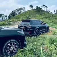 yuanfen53