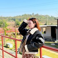 ting296002