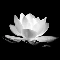 original sound - chaewon13402