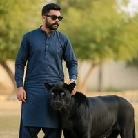 shakeelkhaskheli007