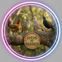 shehr.ke.parindy